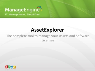 AssetExplorer