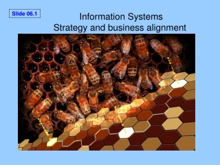 Information Systems Strategy and business alignment