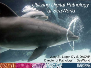 Utilizing Digital Pathology  at SeaWorld