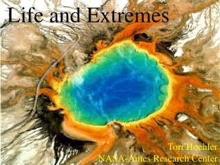 Life and Extremes