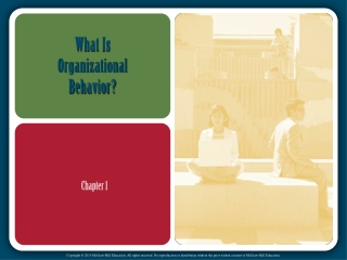 What Is Organizational Behavior?