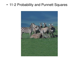 11-2 Probability and Punnett Squares