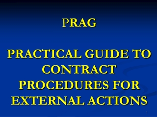 P RAG PRACTICAL GUIDE TO CONTRACT PROCEDURES  FOR EXTERNAL ACTIONS