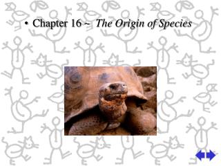 Chapter 16 ~ The Origin of Species