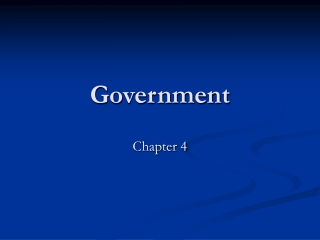 Government