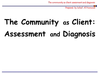 The community as client: assessment and diagnosis