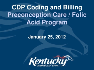 CDP Coding and Billing  Preconception Care / Folic Acid Program