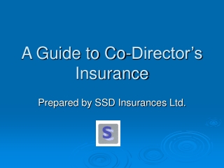 A Guide to Co-Director’s Insurance