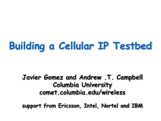 Building a Cellular IP Testbed