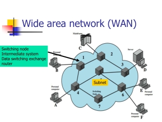 Wide area network (WAN)