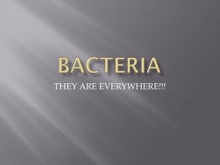 Bacteria