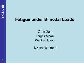 Fatigue under Bimodal Loads