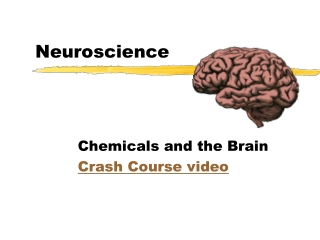 Neuroscience