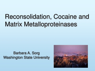 Reconsolidation, Cocaine and Matrix Metalloproteinases
