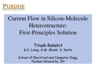 Current Flow in Silicon-Molecule  Heterostructure: First-Principles Solution Titash Rakshit