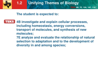 KEY CONCEPT Unifying themes connect concepts from many fields of biology.