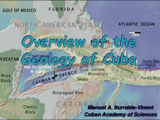 Manuel A. Iturralde- Vinent Cuban  Academy  of  Sciences