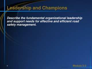 Leadership and Champions