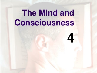 The Mind and Consciousness