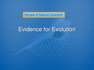 Evidence for Evolution