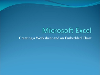 Microsoft Excel