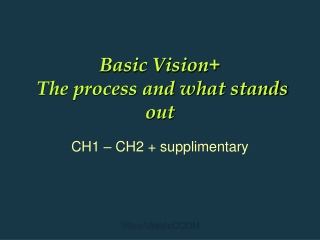 Basic Vision+  The process and what stands out