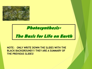 Photosynthesis- The Basis for Life on Earth