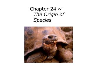 Chapter 24 ~ The Origin of Species