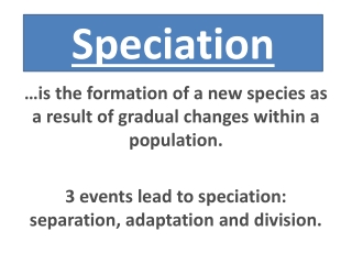 Speciation