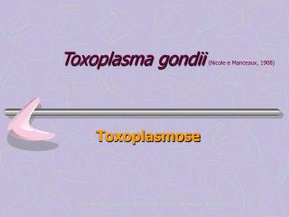 Toxoplasma gondii (Nicole e Manceaux, 1908)