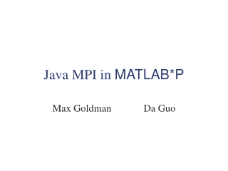 Java MPI in  MATLAB*P