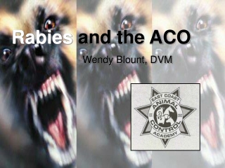 Rabies  and the ACO