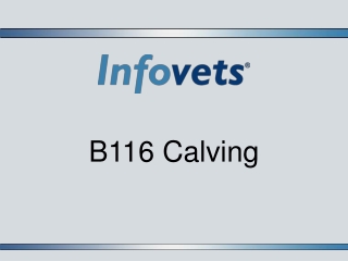 B116 Calving