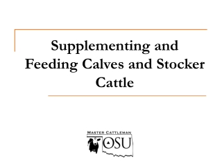 Supplementing and Feeding Calves and Stocker Cattle