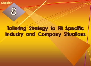 Tailoring  Strategy  to  Fit  Specific  Industry  and  Company  Situations