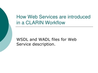 How Web Services are introduced in a CLARIN Workflow