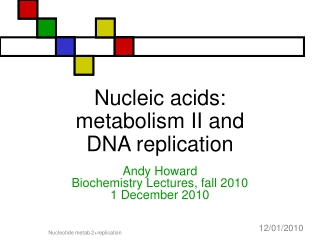 Nucleic acids: metabolism II and DNA replication