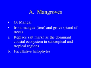 A.  Mangroves