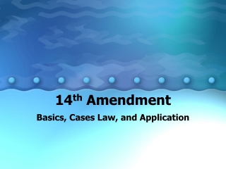 14 th  Amendment