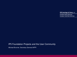 IP5 Foundation Projects and the User Community