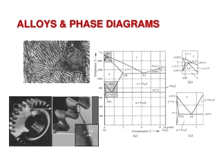 ALLOYS &amp; PHASE DIAGRAMS