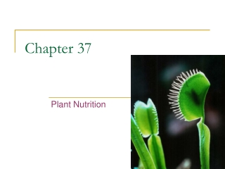 Chapter 37