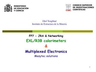 Olof Tengblad Instituto de Estructura de la Materia