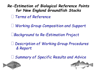 Re-Estimation of Biological Reference Points for New England Groundfish Stocks