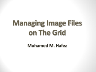 Managing Image Files  on The  Grid