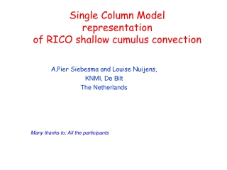 Single Column Model  representation of RICO shallow cumulus convection