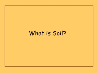 What is Soil?