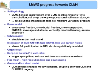 LMWG progress towards CLM4