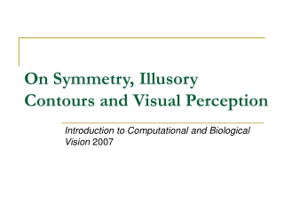 On Symmetry, Illusory Contours and Visual Perception