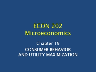 ECON 202 Microeconomics